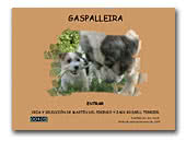 Gaspalleira Mastín del Pirineo y Jack Russell Terrier