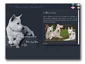 German Dream's White Swiss Shepherd Dogs Kennel
