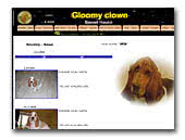 Gloomy Clown Basset Hound