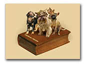 Goldene Horde Brussels Griffons Kennel