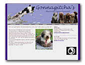 Spanisch Waterdog Gonnagitcha's Perro's