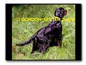 Vom Murnauer Moos FCI/VDH Gordon-Setter Kennel