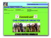 Forever Drem FCI