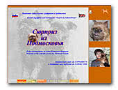 Brussels Griffon Surprise from Moscow Region