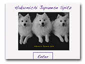  Hakumichi Japanese Spitz