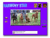 Harmony star German Pinschers