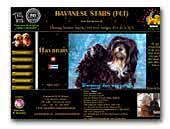 Havanese Stars FCI