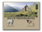 Serra da Estrela Mountain Dog and Pyrenean Mountain Dog Kennel van de Hienderheuvel