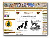 Heesa Meesas Italian Greyhound and Mini Dachshund