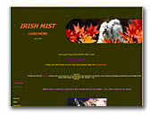 Italian Greyhound Irish Mist