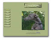 Italian Greyhounds kennel Is Noveles