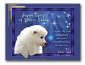 Japan-Spitz of White-Stars