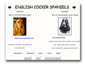Lochranza / Jayzander Cocker Spaniels
