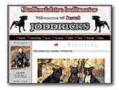 Joddricks Staffordshire Bull Terrier