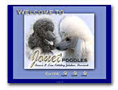 Poodles Jouet