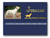 Jubacan labradors