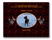 Keyala - Wot a Thriller Dobermann Kennel