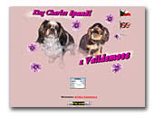 King Charles Spaniels kennel z Valldemose