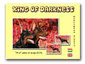King of Darkness Dobermann Kennel