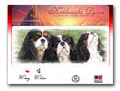 Cavalier King Charles Spaniels z Królewskiego Dworu