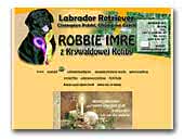 Labrador Retriever Robbie Imre z Krywaldowej Koliby