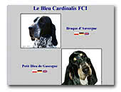 Hunting Dogs Kennel Le Bleu Cardinalis FCI