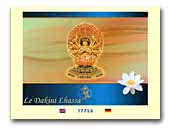Le Dakini Lhasa Apso