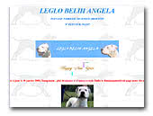 Dogo Argentino - Dog Breeders and Kennels in Europe ...