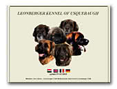 Leonberger kennel of Usquebaugh