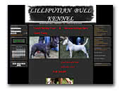 Lilliputian Bull Kennel Miniature Bull Terriers