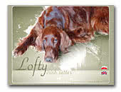 Lofty Irish Red Setter kennel