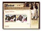 Lordsett English Springer Spaniel Kennel