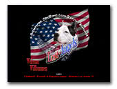 American Staffordshire Terriers Lost Angels