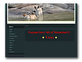Lonewolf Kennel