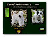 Amberwheat's Irish Soft Coated Wheaten Terriers