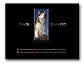 Alaskan Malamute Breeders And Kennels Eurobreeder Com