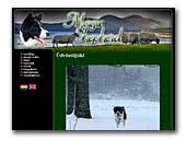 Magic Shepherd Border Collies