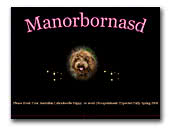 Manorborn Australian Miniature Labradoodles