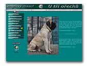 English Mastiffs U Tri Orechu