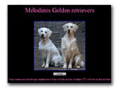 Melodenis Golden Retrievers