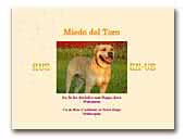 Miedo del Toro Kennel