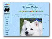 Kennel Moalitz