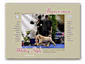 Soft Coated Wheaten Terrier kennel Modny Style