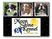 Australian Shepherds Moonshine Kennel