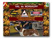 Saint Bernard du Val du Morakopf