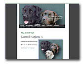 Labrador Retrievers Kennel Narjana's