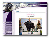 Netravati Tibetan Mastiffs and Welsh Springer Spaniel Kennel