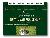 Shih Tzus Kennel Nettlavallens