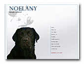 Labrador Retrievers Noelany