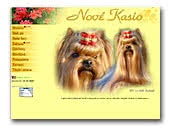 Nové Kasio Yorkshire Terrier